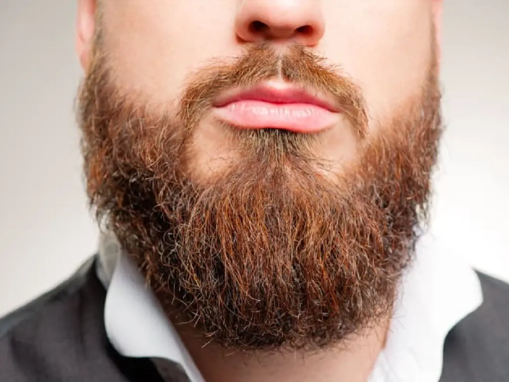 Why Do Guys Get Red In Their Beards? Ginger Hair Transformation On Tiktok, What Do They Use?